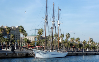 Análisis de mástiles de madera: el caso de la embarcación “Santa Eulalia” (Pailebote) del Museo Marítimo de Barcelona.